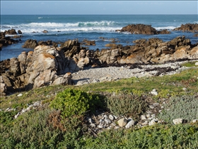 Cape Agulhas